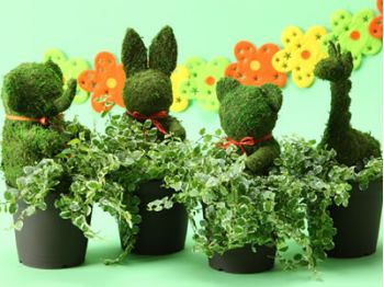 animal topiary plants to japan