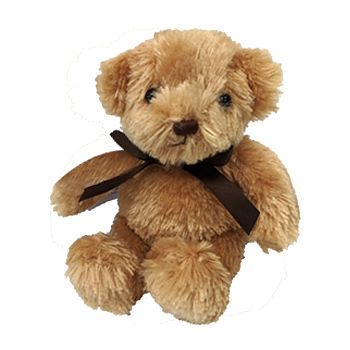 online teddy bear delivery
