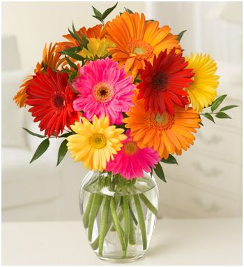 send 10 stems of assorted mix of daisies to japan