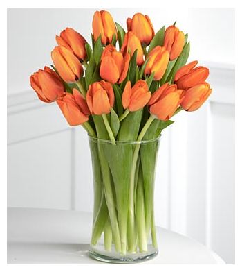 send 12 orange tulips to japan