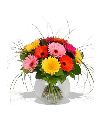 send assorted gerbera to japan