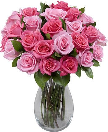 send 24 fresh pink roses in clear glass vase to japan